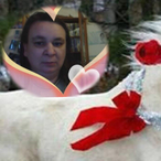 Profil de Vesna